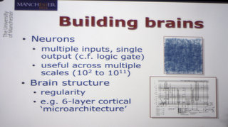 Building brains